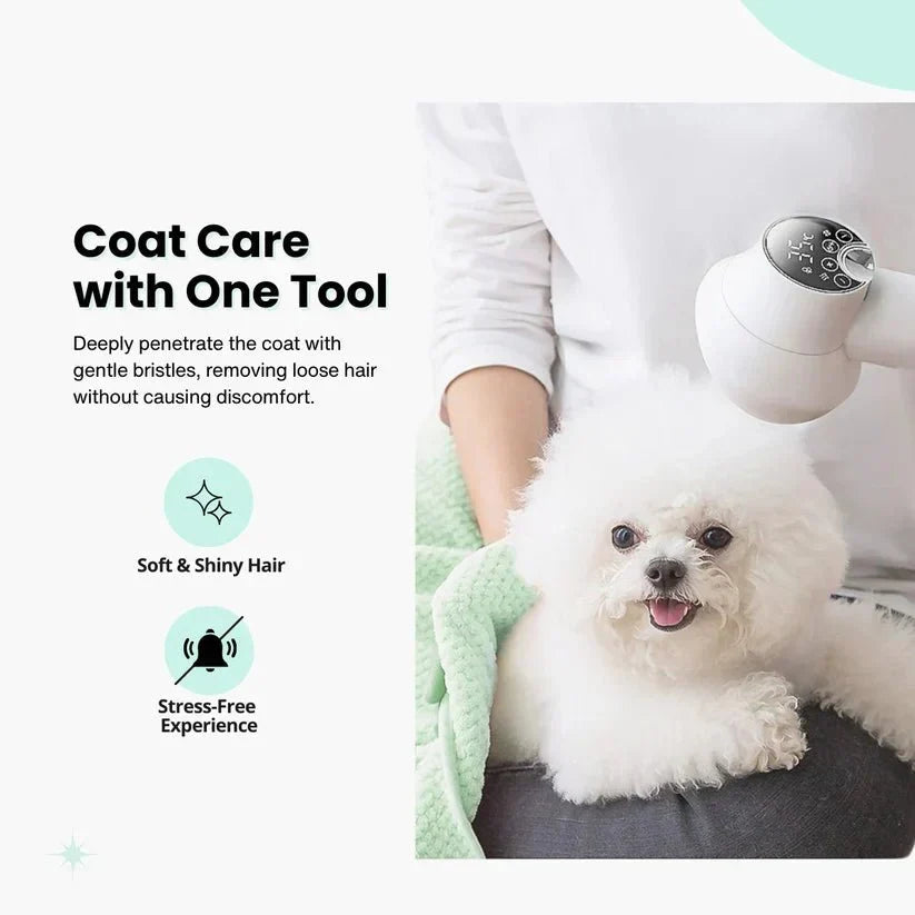 Portable 2-in-1 pet hair dryer brush for dogs. Speed up dog grooming & deshedding. Easy pet care supplies.