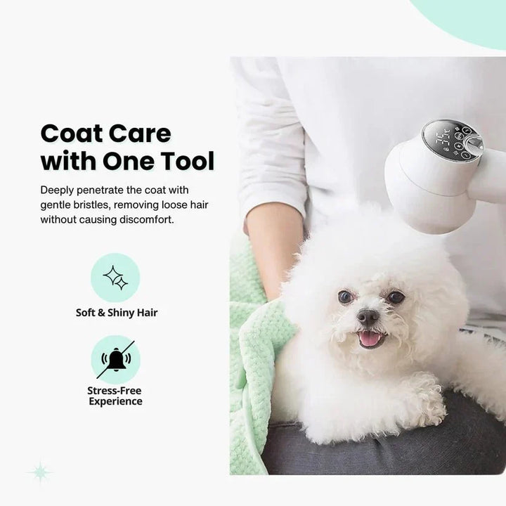 Portable 2-in-1 pet hair dryer brush for dogs. Speed up dog grooming & deshedding. Easy pet care supplies.