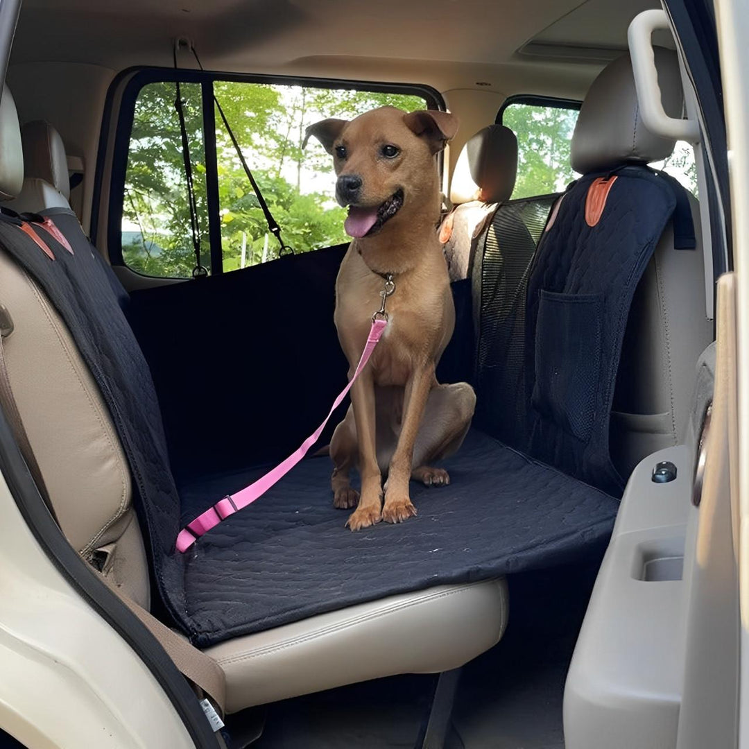 Pet car seat hammock for dogs, keeping back seat clean, safe & comfortable during travel adventures.