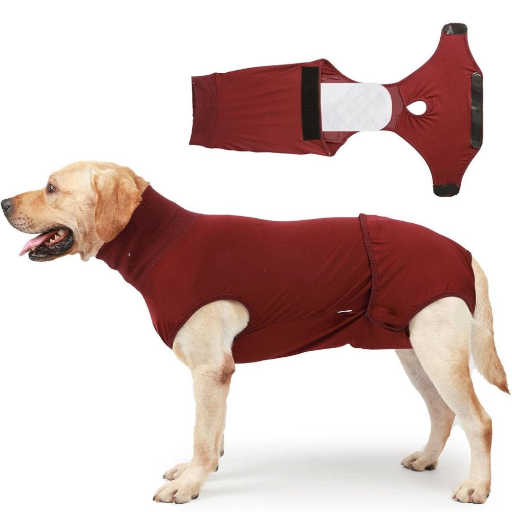 Dog recovery suit for post-surgery protection, wound healing & anxiety relief.