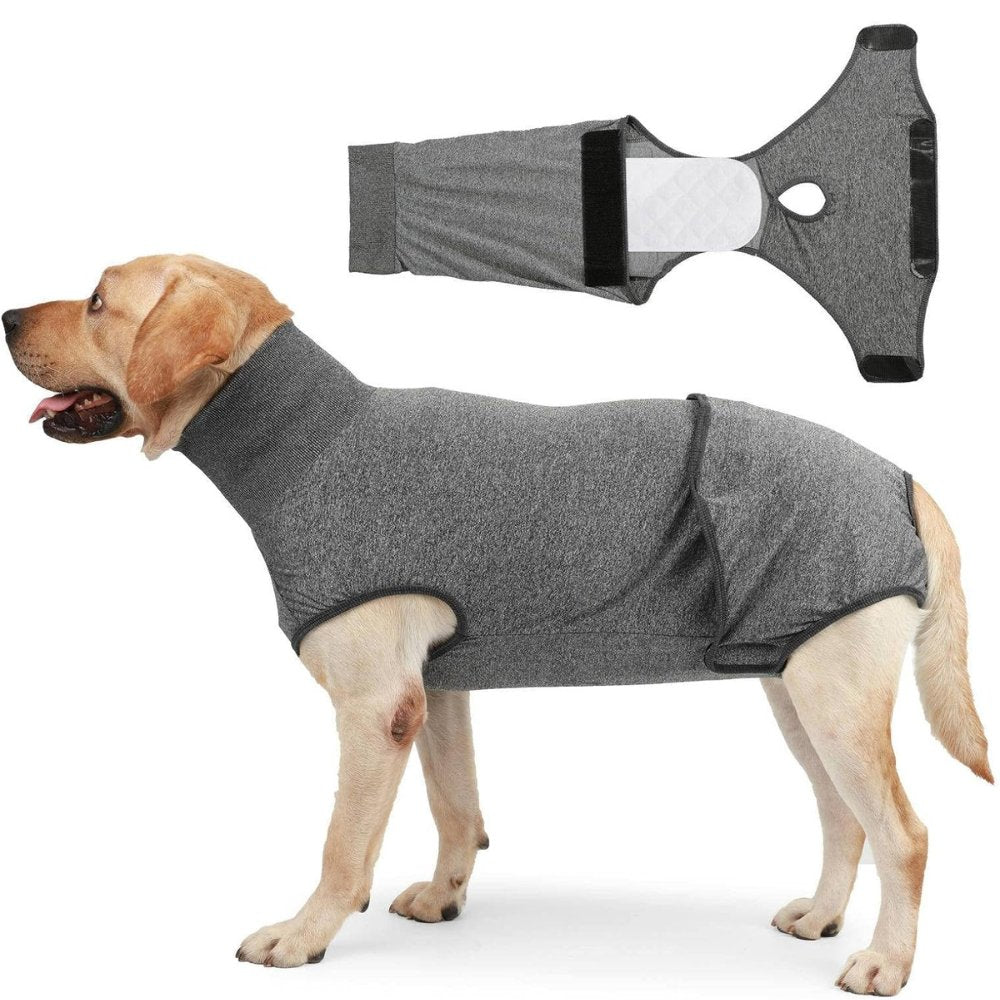Soft dog recovery suit, a comfortable alternative to the cone of shame for surgical wounds.