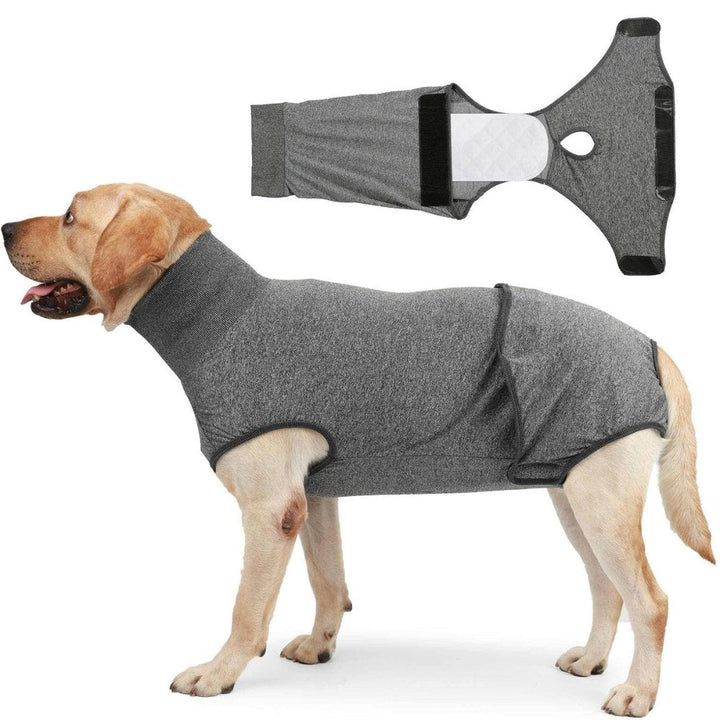 Soft dog recovery suit, a comfortable alternative to the cone of shame for surgical wounds.