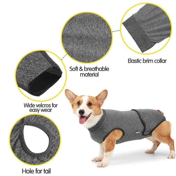 Dog recovery suit for heat cycles, shedding control & gentle wound protection after surgery.