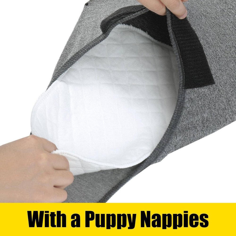 Veterinary approved dog recovery suit for post-op care, preventing licking & speeding healing.