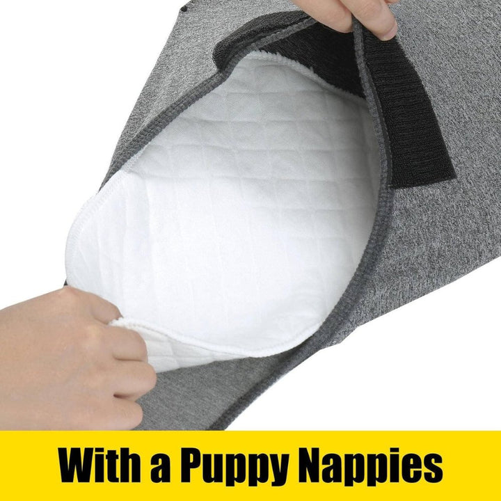 Veterinary approved dog recovery suit for post-op care, preventing licking & speeding healing.