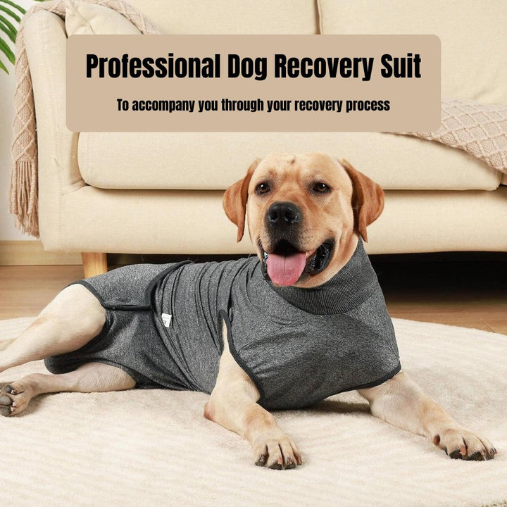 Breathable, soft dog recovery suit ensuring comfort & protection for post-surgery or anxiety.