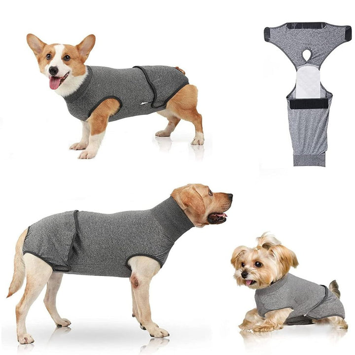 Gentle pet protection dog recovery suit; ideal for post-surgery, anxiety & a cone alternative.