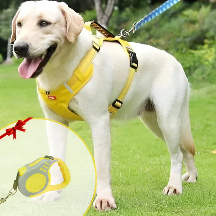 Dog's anti-pull harness for comfortable control. Adjustable, reflective design for safe pet walking & training.