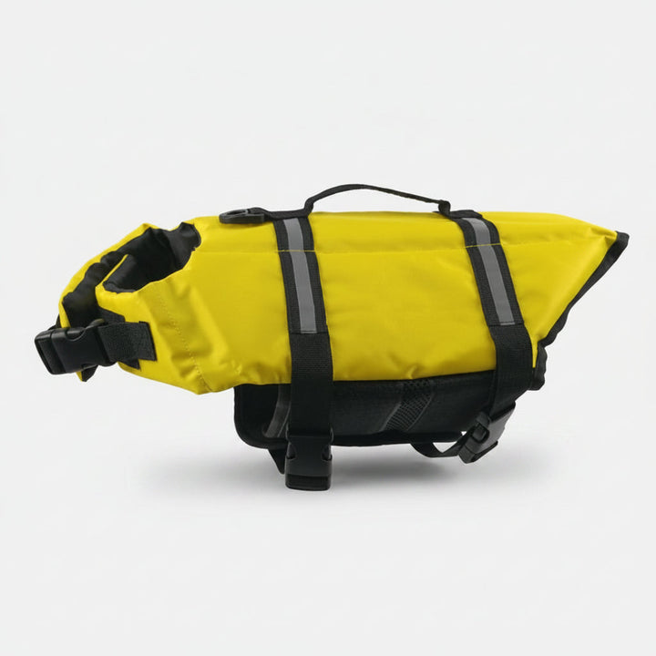 Secure dog swim vest for outdoor adventures, offering buoyancy & a rescue handle for ultimate pet water safety gear.