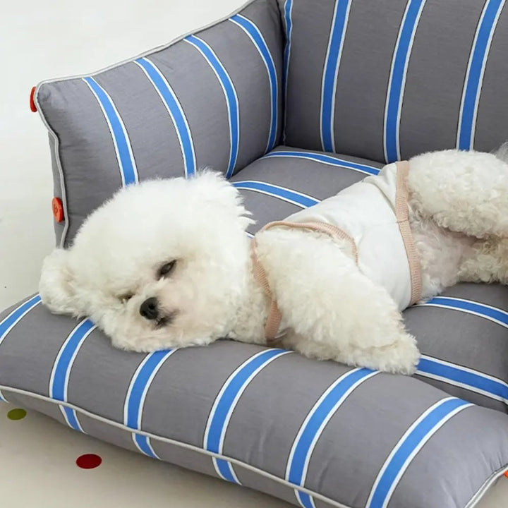 Cozy blue raised dog sofa bed for ultimate pet lounging comfort. Features supportive design, washable cover & non-slip base.