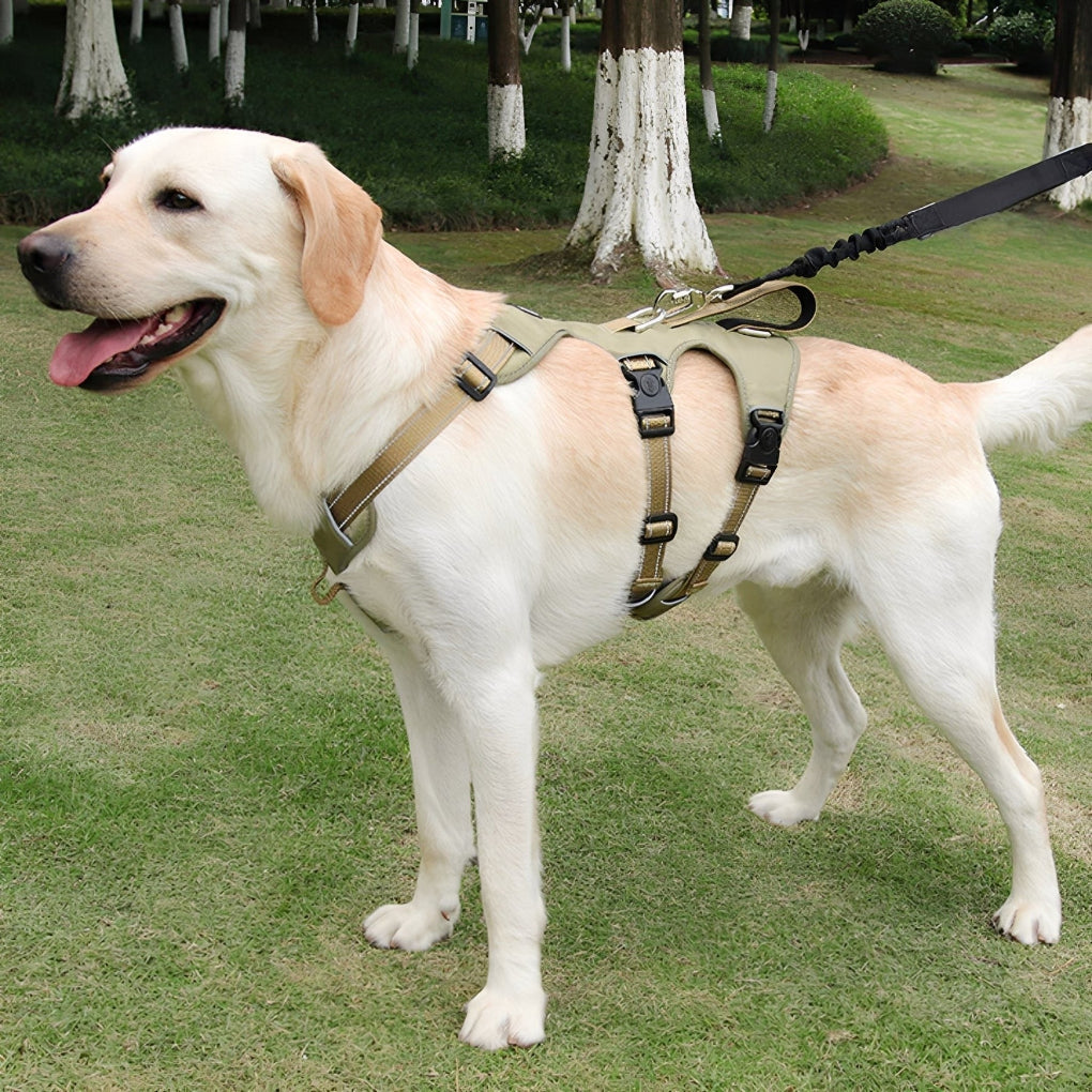 Comfort-Fit Adjustable Dog Harness for secure dog walking & training. Durable, reflective pet safety gear.