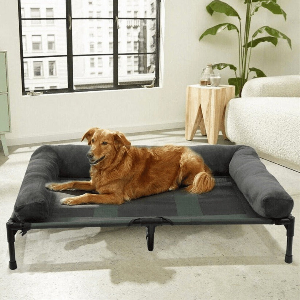 Large elevated dog bed with bolstered sides in grey, providing orthopedic comfort for big dogs, suitable for indoor/outdoor use.
