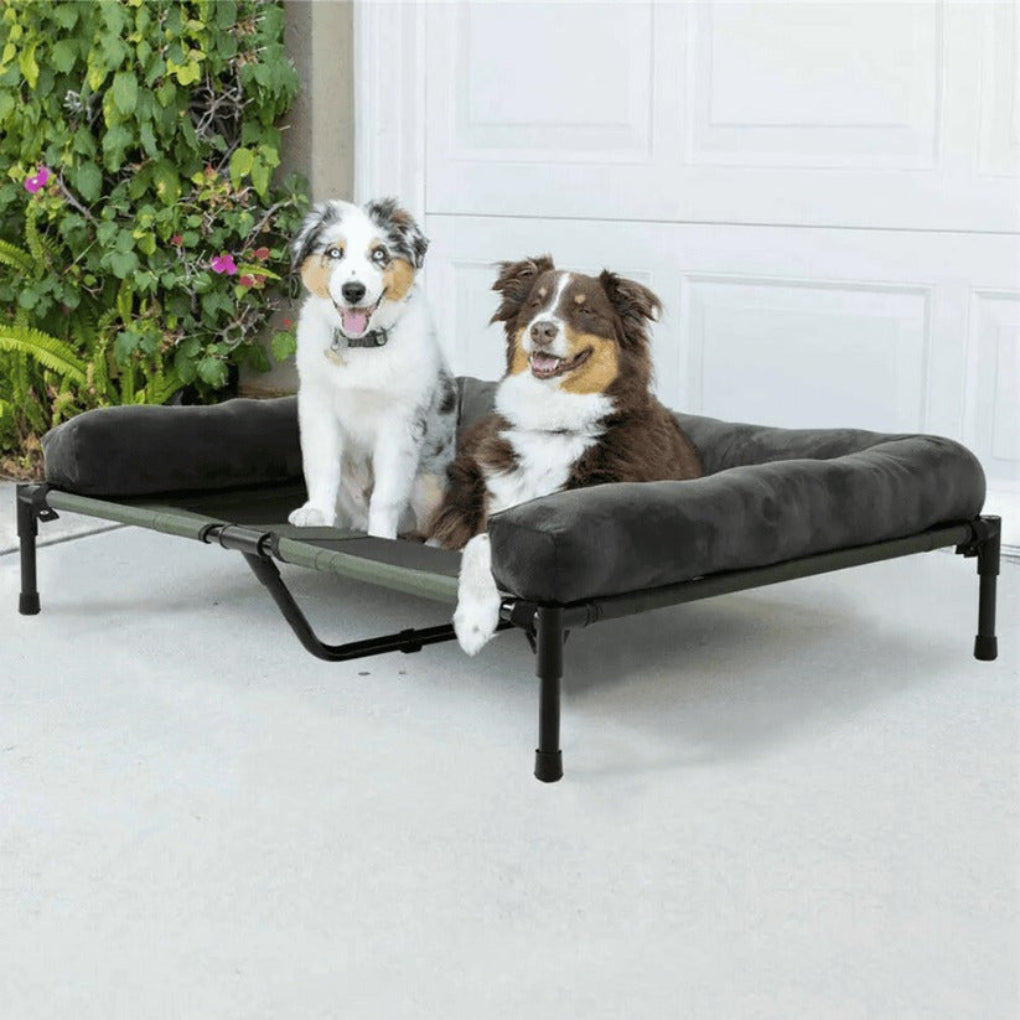 Plush bolster dog bed with soft, washable cover, elevated design for large dogs. Orthopedic pet furniture for comfort.