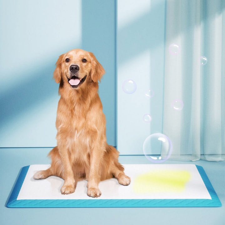 Disposable absorbent pet training pads for puppies, dogs & cats. Leak-proof potty pads for easy pet hygiene & home cleanliness.