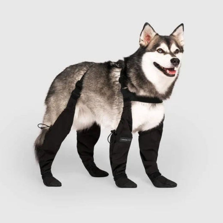 Durable dog paw protection boots for outdoor adventures, hiking, and trail safety. All-weather pet footwear.