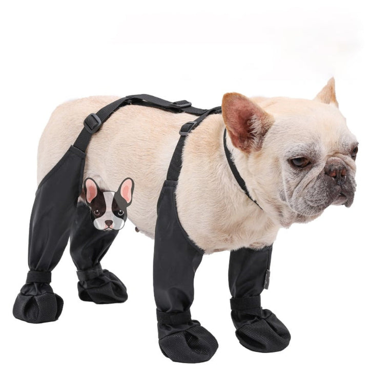 High-performance dog boots for active dogs. Offer superior paw protection and comfort during trail adventures.