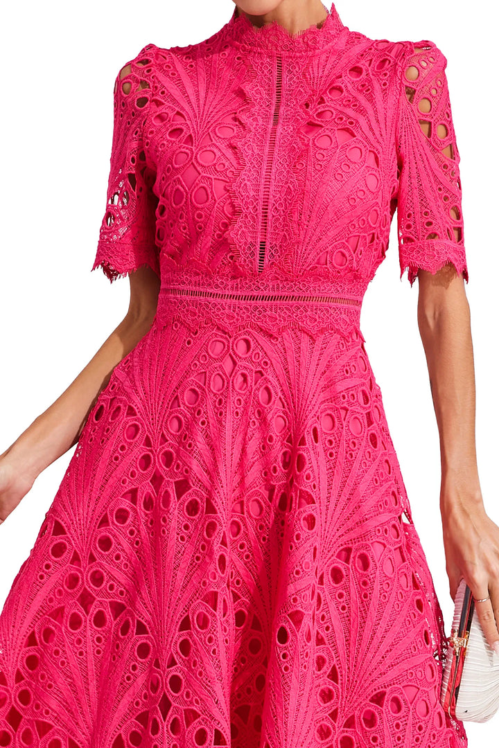 Elegant women's midi dress with delicate lace, suitable for formal special occasions and evening wear.