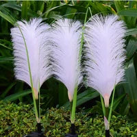 Decorative reed-style garden lights adding warmth to a patio area.