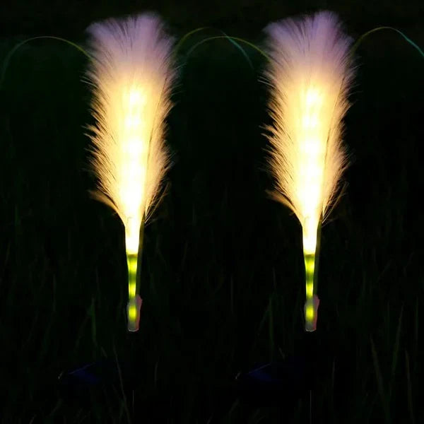 Reed-style pathway light providing soft illumination for evening garden strolls.