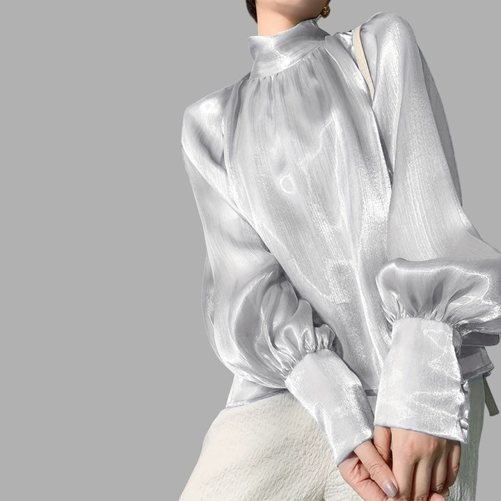Chic women's blouse with voluminous puff sleeves, a stylish long-sleeve top for modern fashion.