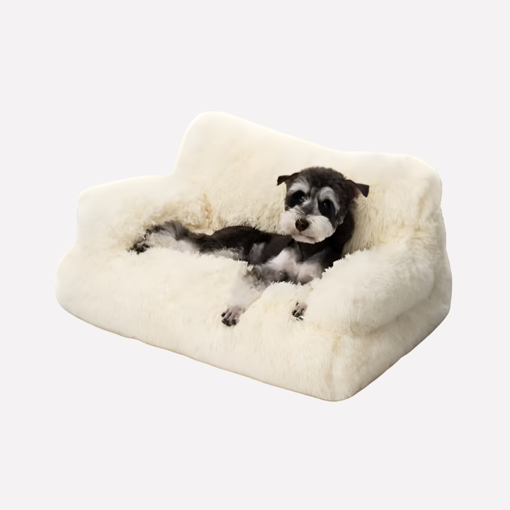 Elevated pet bed bench for small cats & dogs. Washable, cozy comfort with a non-slip design.