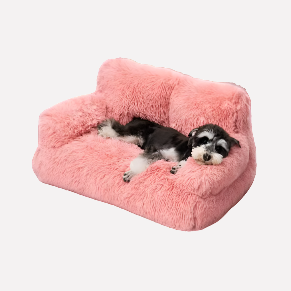 Stylish elevated pet bed bench, perfect pet furniture for small dogs & cats. Provides washable comfort.