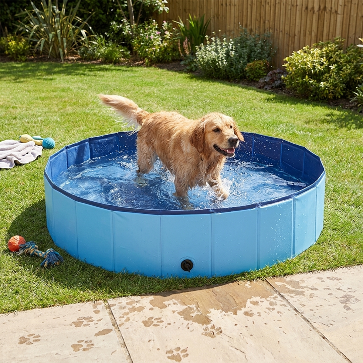 Foldable dog pool with anti-slip base for pets, perfect for summer fun, cooling, and bathing.