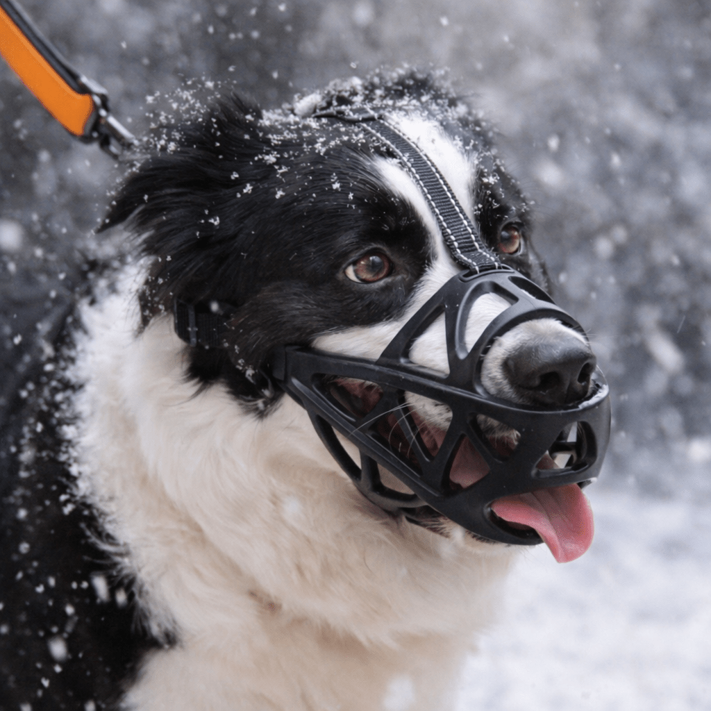 Gentle dog muzzle for comfortable control, made from soft, breathable material for pet safety.