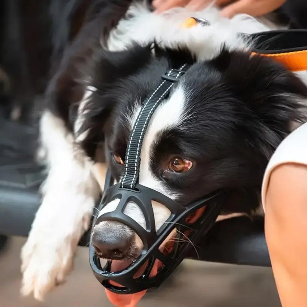 Soft, breathable dog muzzle ensuring pet comfort during training, walks, and grooming sessions.