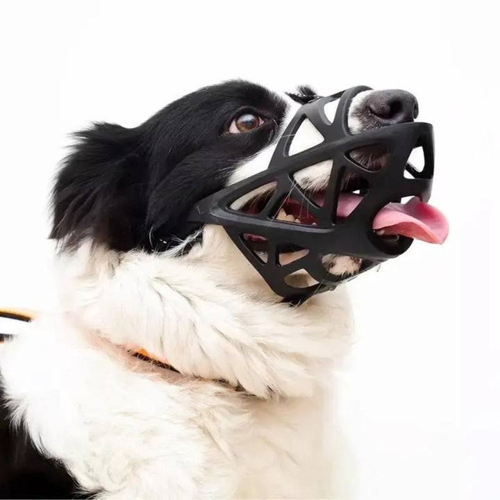 Secure & gentle dog muzzle, an essential pet accessory for humane canine control and enhanced safety.