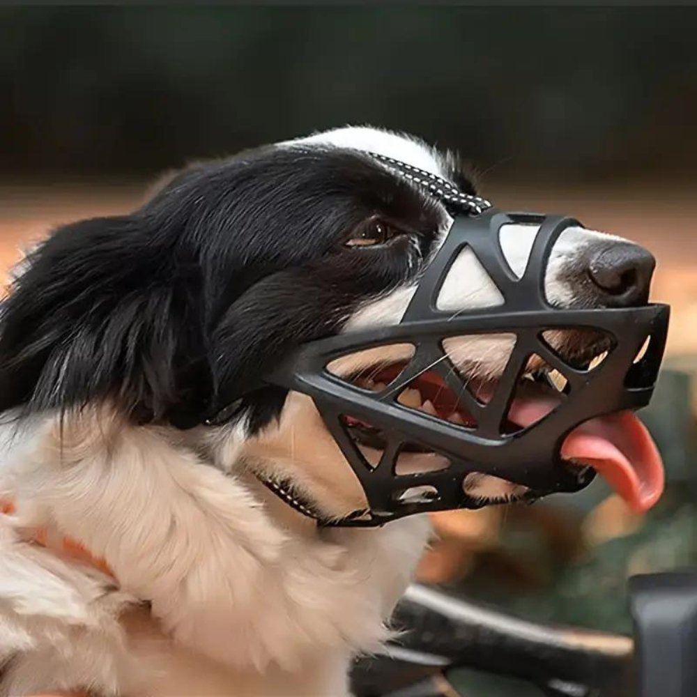 Adjustable gentle dog muzzle, designed for a snug, non-restrictive fit & optimal breathability.