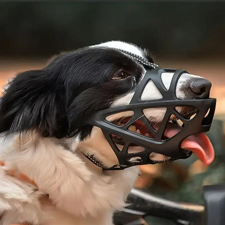 Adjustable gentle dog muzzle, designed for a snug, non-restrictive fit & optimal breathability.