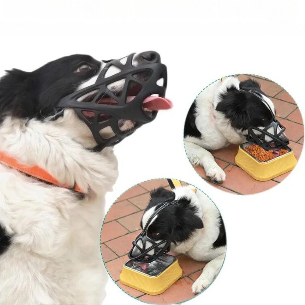 Golden Retriever wearing a soft, gentle dog muzzle for safe, stress-free walks & effective training.