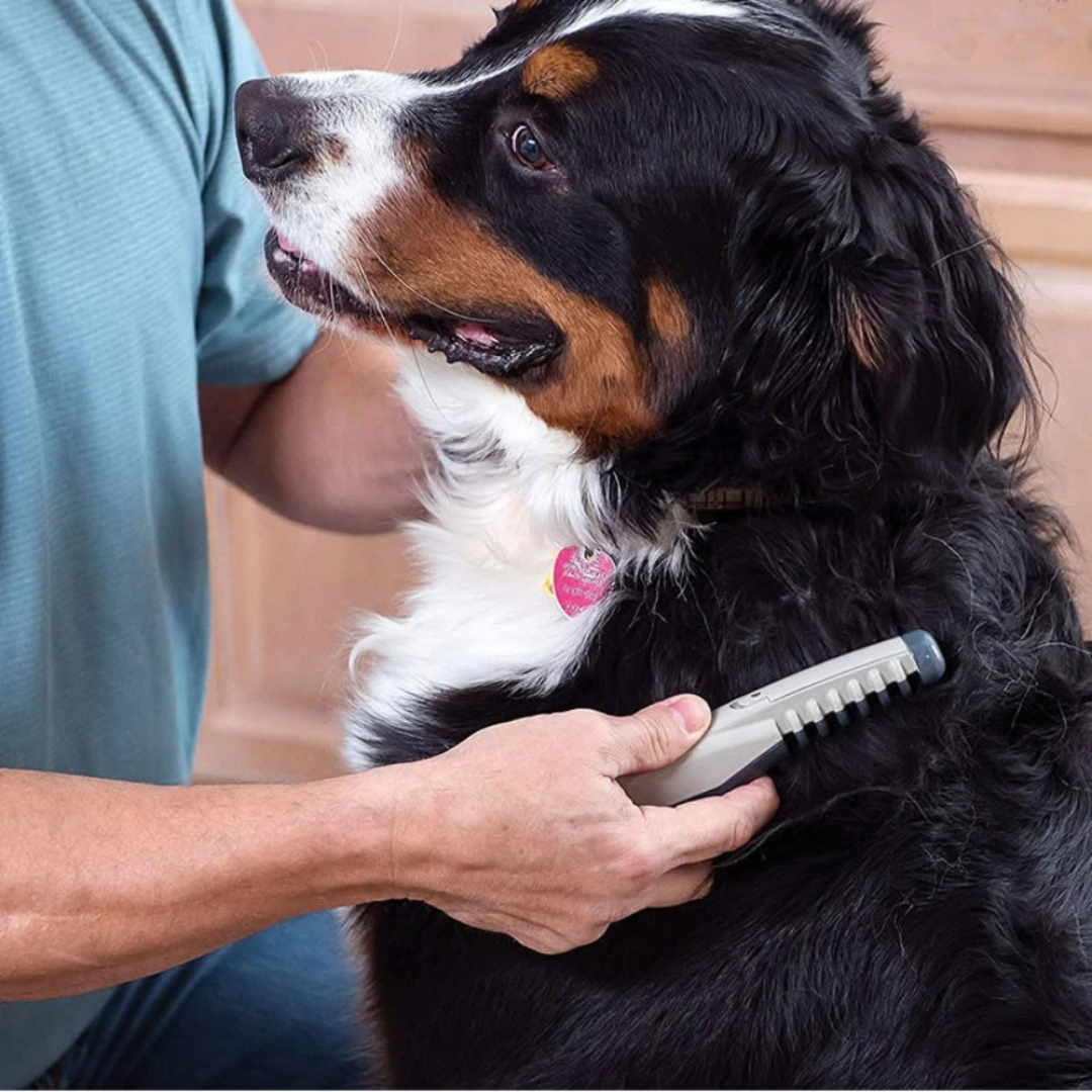 Ergonomic pet detangling brush designed for comfortable grooming of both cats and dogs.