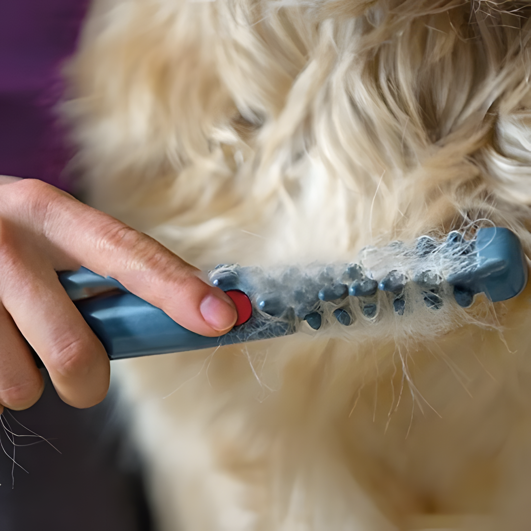 Tangle remover shedding brush for pets, effectively detangles cat fur & dog coats, promoting healthy skin.