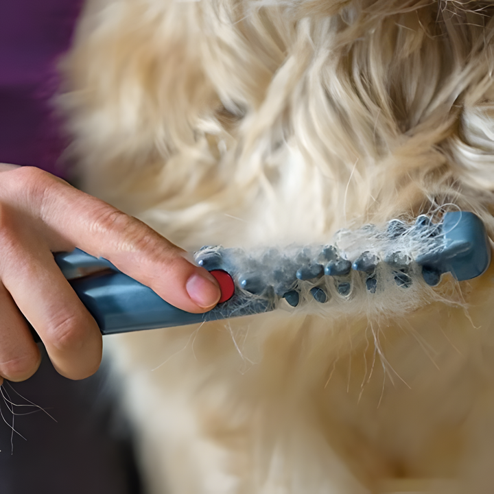 Tangle remover shedding brush for pets, effectively detangles cat fur & dog coats, promoting healthy skin.
