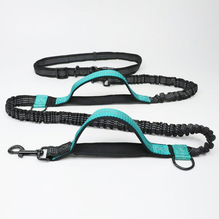 Durable hands-free dog lead with car seatbelt & reflective features. Unisex pet accessory for safety & convenience.