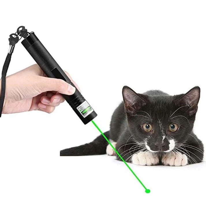 High-power dual-beam green & red laser pointer for precision presentations & outdoor use. Rechargeable.