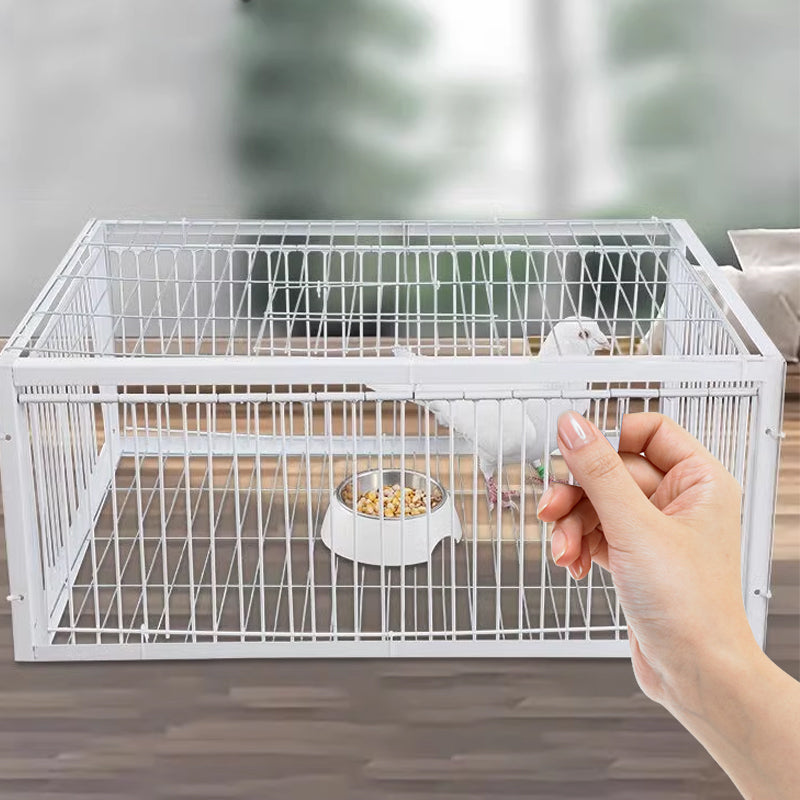 Humane bird trap for safe capture & release of birds in gardens. Metal cage for animal control.