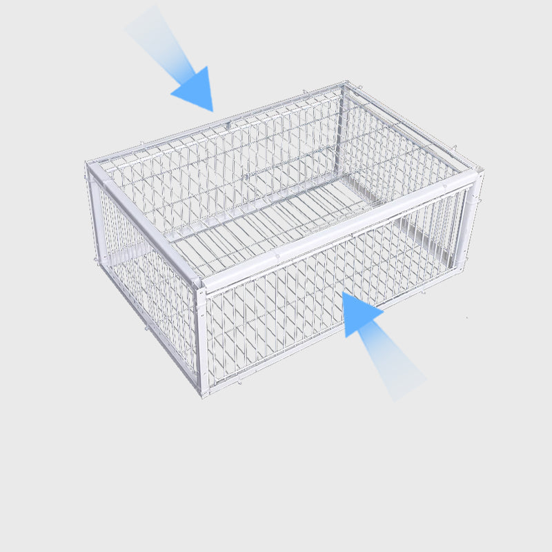 Wildlife management bird trap, a secure & humane cage for safe capture, release, and pest prevention.