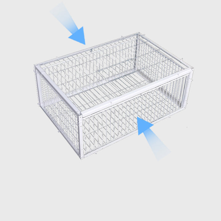 Wildlife management bird trap, a secure & humane cage for safe capture, release, and pest prevention.