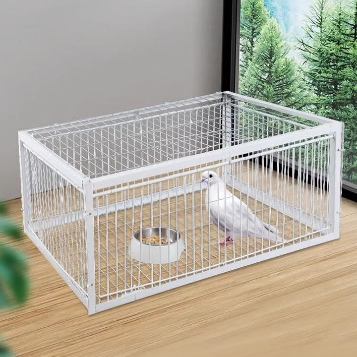 Escape-proof bird trap for humane wildlife management & pest control in your garden or farm.