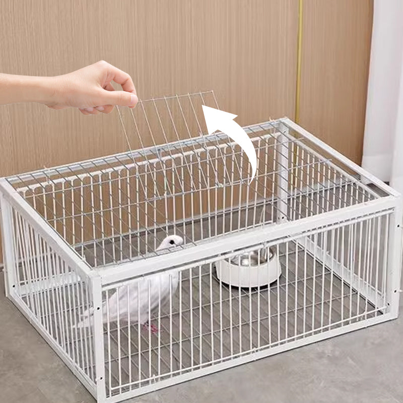 Effective animal control cage, a humane bird trap for safe pest management & wildlife monitoring.