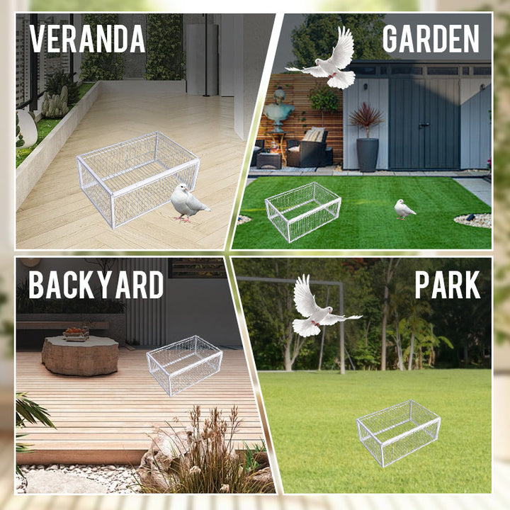 Outdoor bird trap for humane pest control, a safe and effective solution for bird removal from your property.