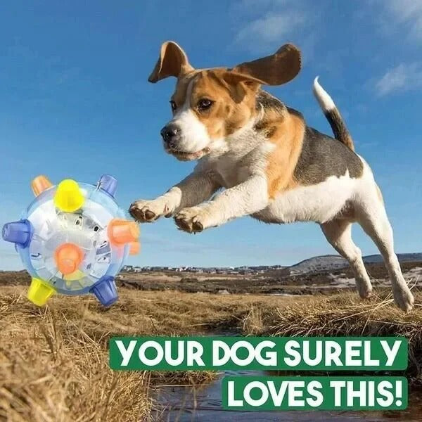 Durable interactive bouncing ball for dogs, a vibrating pet activity toy providing mental and physical enrichment.