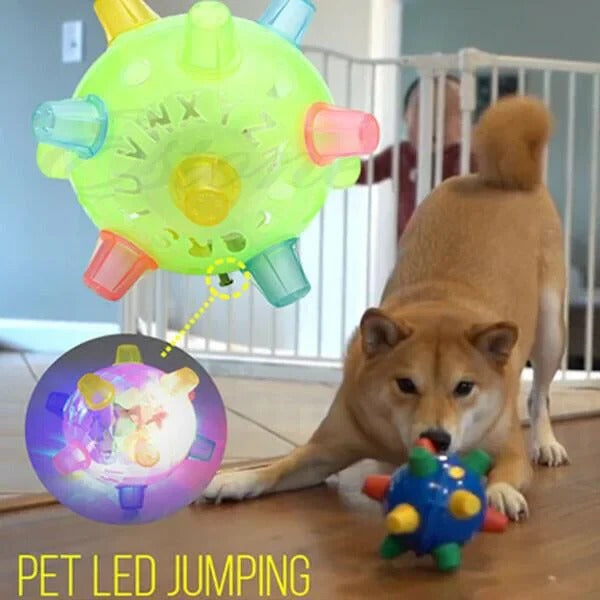 Engaging jumping activation ball, ideal interactive dog toy for puppies and adult dogs, promotes active play.