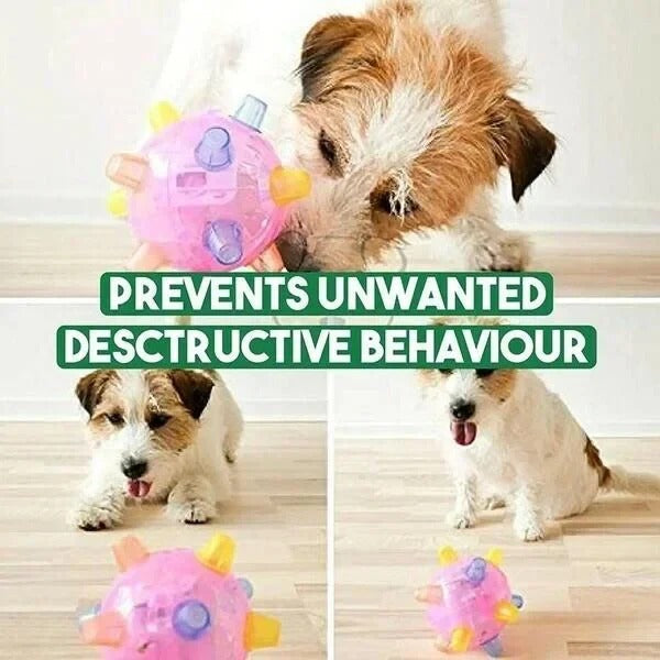 Vibrating dog toy ball, automatic pet activity for dog exercise, stimulating bouncing action for all dogs.