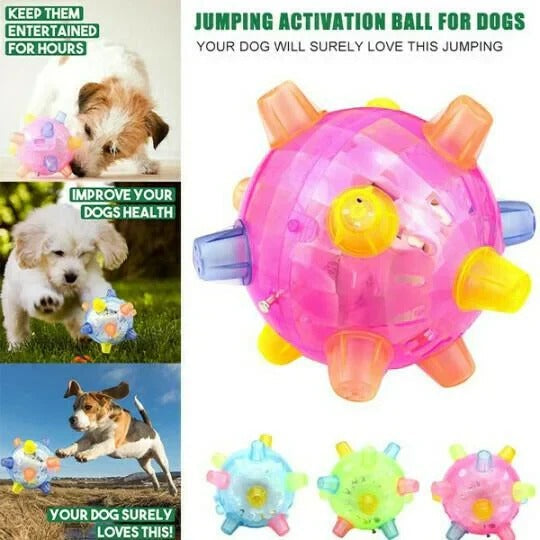 Pet enrichment jumping ball, an automatic interactive dog toy designed for indoor and outdoor bouncing fun.