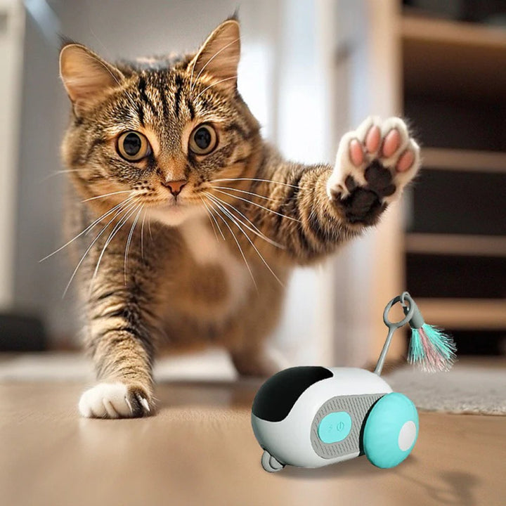 Interactive TurboChase cat toy for engaging indoor play, keeping your feline active and entertained automatically.