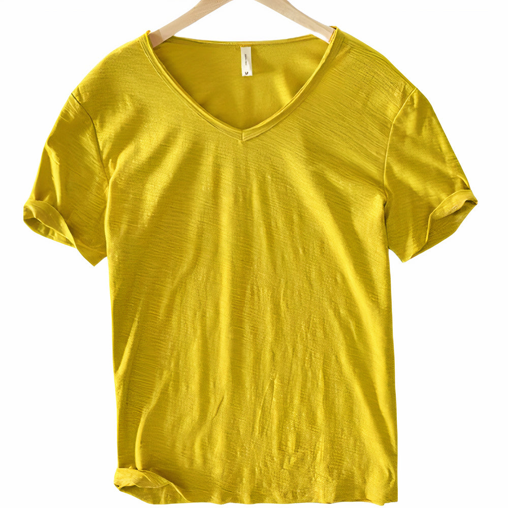 Stylish men's short-sleeve V-neck t-shirt for everyday casual summer and vacation outfits.